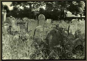 Bei Landau, alter jüdischer Friedhof, mittlerer Teil