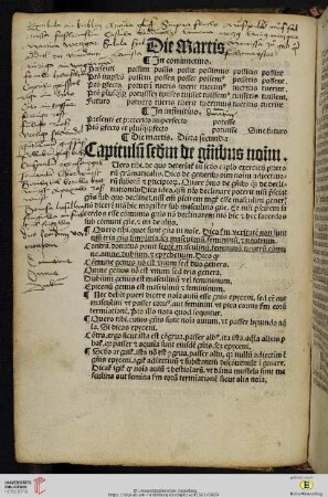 Die martis. Dieta secunda