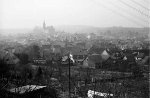 Ettenheim: Blick über Weinberge auf Ettenheim