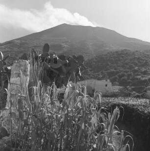 Aufstieg zum Stromboli, Blick zum Vulkan vom Ort aus