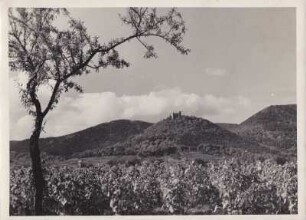 Hambacher Schloß (Maxburg oder Kaestenburg)