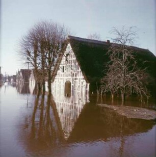 Sturmflut Hamburg 1962. Überflutete Gehöfte