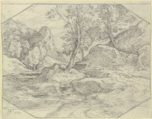 Landschaft mit Bäumen und Felsen