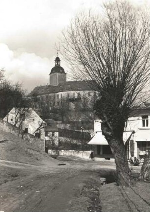 Hirschstein. Ortsteilansicht mit Schloss