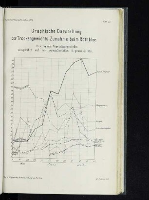Taf. IV. Graphische Darstellung der Trockengewichts-Zunahme beim Rothklee