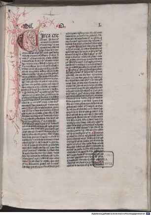 Quaestiones super Sententias : Liber 2