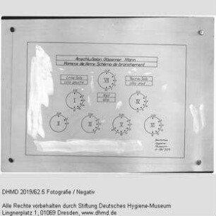 Technischer Plan - "Anschlußplan Gläserner Mann Homme de Verre: Schéma de branchement"