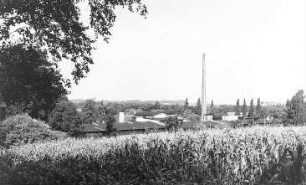 Löbau-Georgewitz. Filzfabrik (ehemals Ölmühle), Ansicht