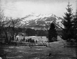 Fellhorn : Felder am Fuße des Fellhorns (2038m)