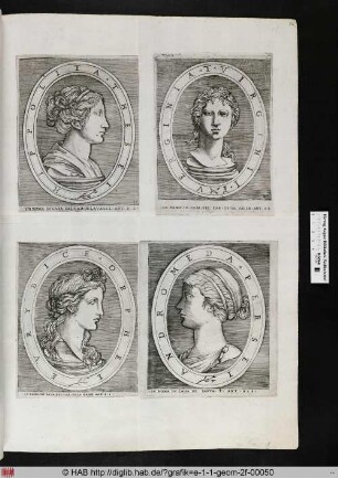 oben links: Hippolita, Frau Theseus.