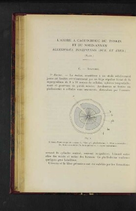 L'Arbre A Caoutchouc Du Tonkin Et Du Nord-Annam.
