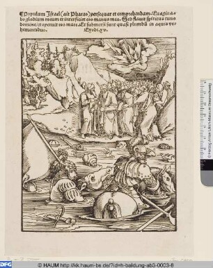 Pharaos Untergang im Roten Meer