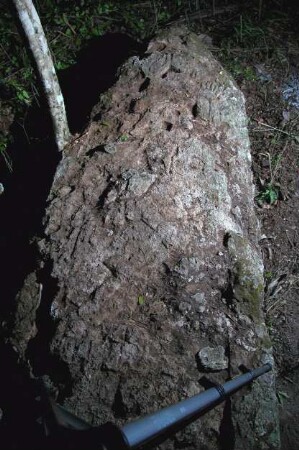Oxpemul, Stela 16 (OXP: St. 16)