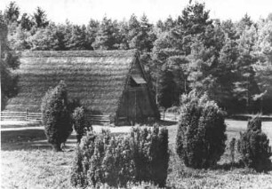 Lüneburger Heide. Alter reetgedeckter Schafsstall bei Wilsede. Aufgenommen 1950