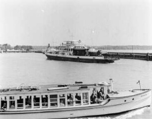 Bodensee, Dampfer