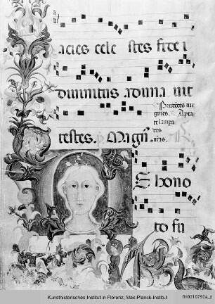 Antiphonar : Buchseite mit Randbordüre, vierzeiligen Neumen und historisierter Initiale D: Heilige Ursula