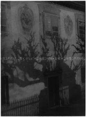 Baumschatten auf bemalter Fassade