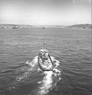 Reisefotos Türkei. Istanbul. Schlepper vor der Küste