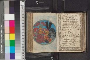 Text, Illustrationen und Einträge S. 200 - 249