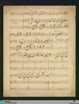 3 Fantasies - Don Mus.Ms. 2378 : vlc, pf