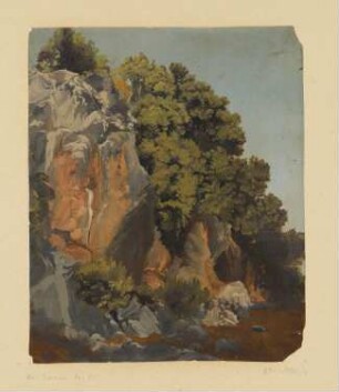 Studie von Felsen und Buschwerk
