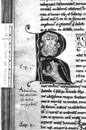 Bildeinschluß-Initiale R, Folio 13 verso