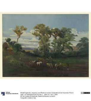 Vaqueros und Pferde an einem Tränkplatz auf der Hacienda "Pacho viejo". Im Hintergrund der Pico de Orizaba