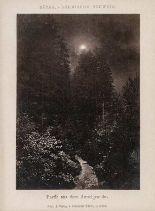 Sächsische Schweiz. Blick in den Amselgrund bei Mondschein