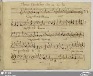 Crecquillon, Thomas: Cognoscimus Domine
