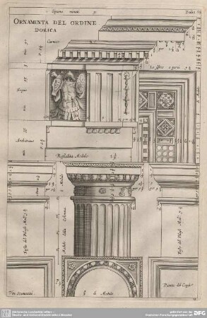 Ornamenta del Ordine Dorica.