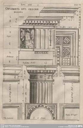 Ornamenta del Ordine Dorica.