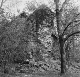 Burg König Dagoberts
