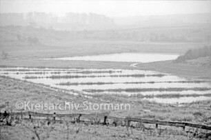 Struckteich: vorn Zaun und Wiese: hinten Knicklandschaft mit Bäumen