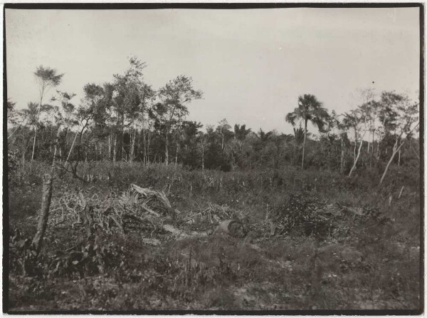 The graves of the victims of the last epidemics at Ramkokamekra (Canela)