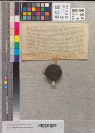 Bürgermeister und Rat der Stadt Blomberg erklären, ihren Herren Gf. Hermann zu Everstein, Simon III. zur Lippe und Bernhard VI. zur Lippe das Morgenkorn aus der Stadt unge-schmälert zahlen zu wollen. Es sei denn, sie müssten Bürgschaft leisten dem Corveyer Abt Wulbrand, Herzog Otto von Braunschweig u. denen von Homburg, dann sei ihr Schaden aus der Abgabe zu begleichen.