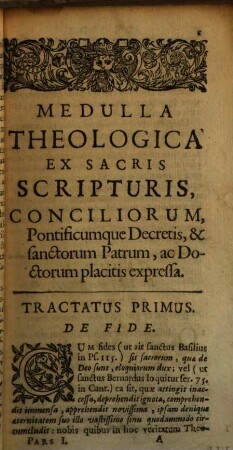 Medulla Theologica Ex S. Scripturis, Conciliorum Pontificumque Decretis, Et Sanctorum Patrum ac Doctorum placitis expressa, 1