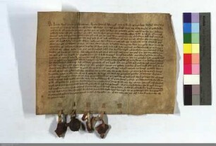 Die Barfüßer zu Marburg stellen dem Deutschen Orden daselbst einen Schuldschein aus über 100 Goldgulden, Marburg Währung, und stellen Bürgen.