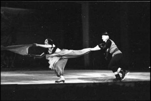 Freiburg: Stadthalle, Eisballett
