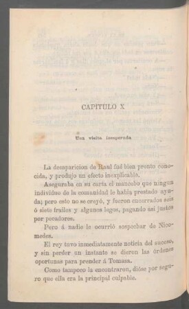 Capítulo X - Una visita inesperada