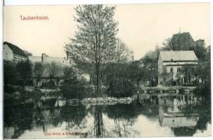 Taubenheim. Blick auf Taubenheim