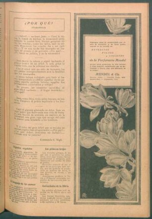 El lenguaje de las moscas