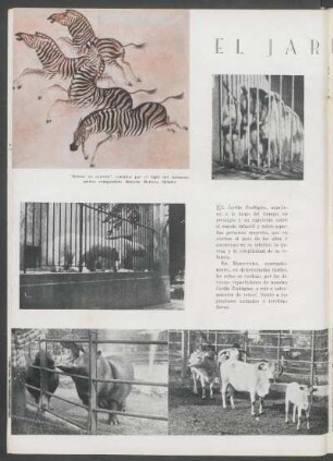 El Jardín Zoológico