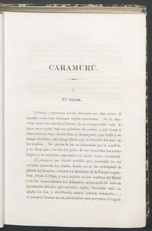 Caramurú : novela histórica original