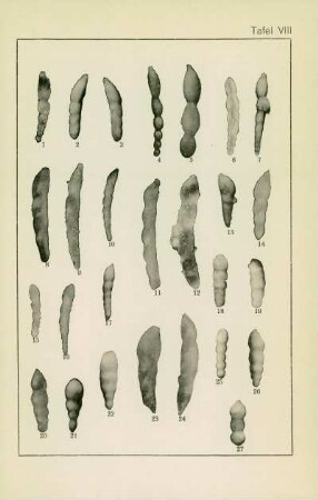 Tafel VIII