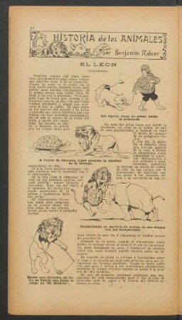 El león - (Conclusión) : Historia de los animales