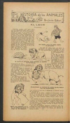 El león - (Conclusión) : Historia de los animales