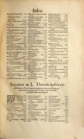 Commentaria in C. Iulii Solini Polyhistora et Lucii Flori De Romanorum rebus gestis libros ac tabulam Cebetis ...