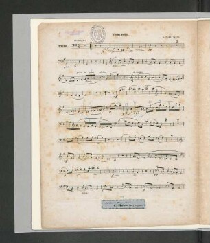 Violoncello.