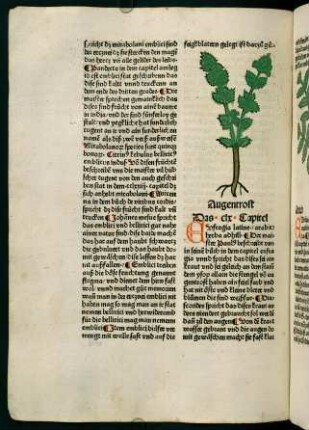 91v-92r, Augentrost (160. Kapitel)