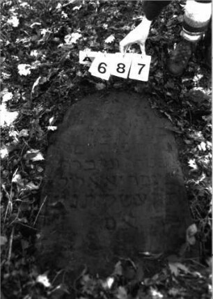 Grabstein 687